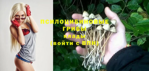 а пвп мука Балабаново